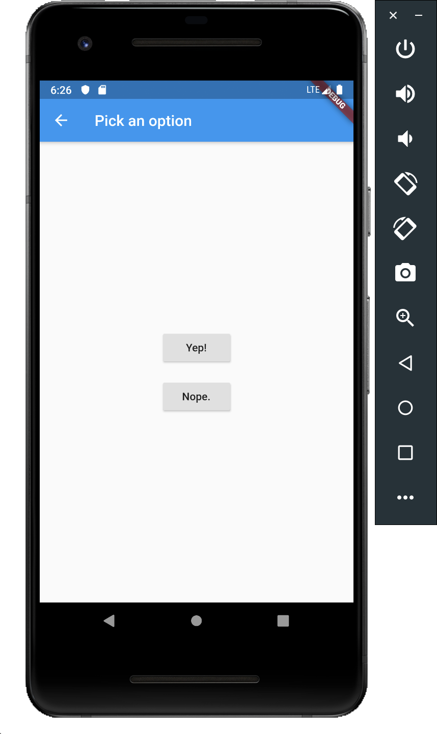 flutter24