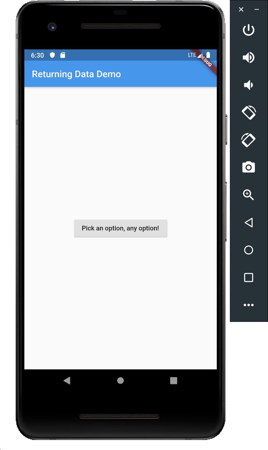 flutter25